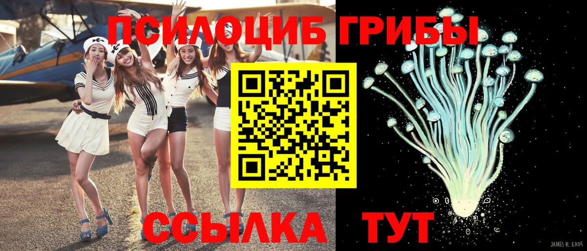 Галлюциногенные грибы Psilocybe  Псилоцибиновые грибы Cubensis  Вход с VPN  Конаково 
